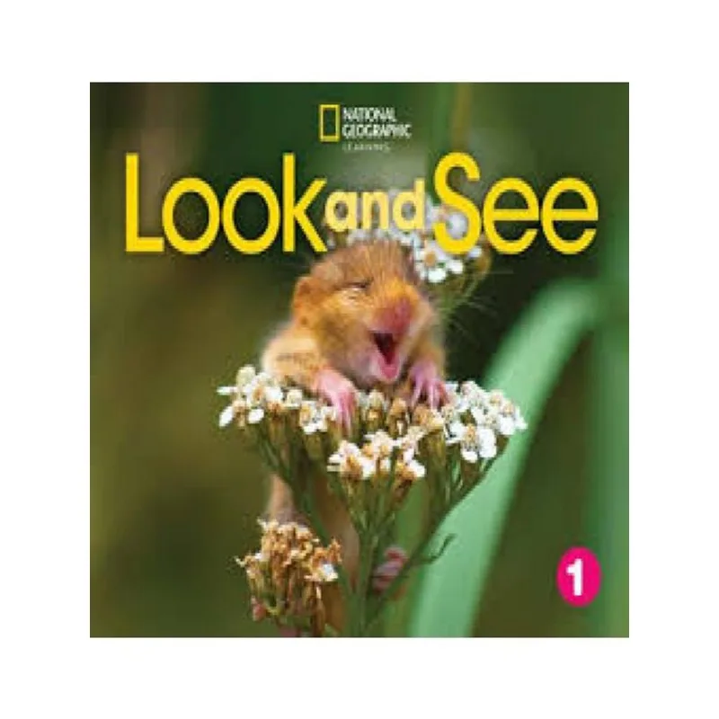 LOOK AND SEE 1 - BIG BOOK ANTHOLOGY