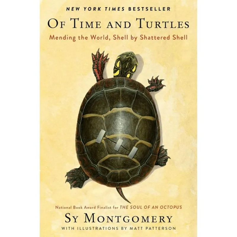 OF TIME AND TURTLES