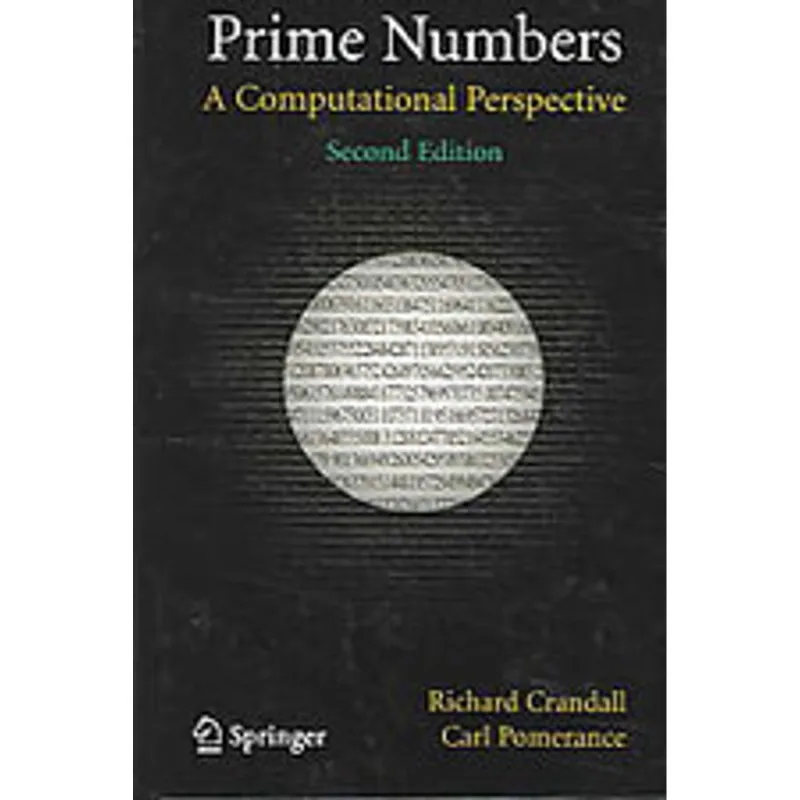 PRIME NUMBERS: A COMPUTATIONAL PERSPECTIVE