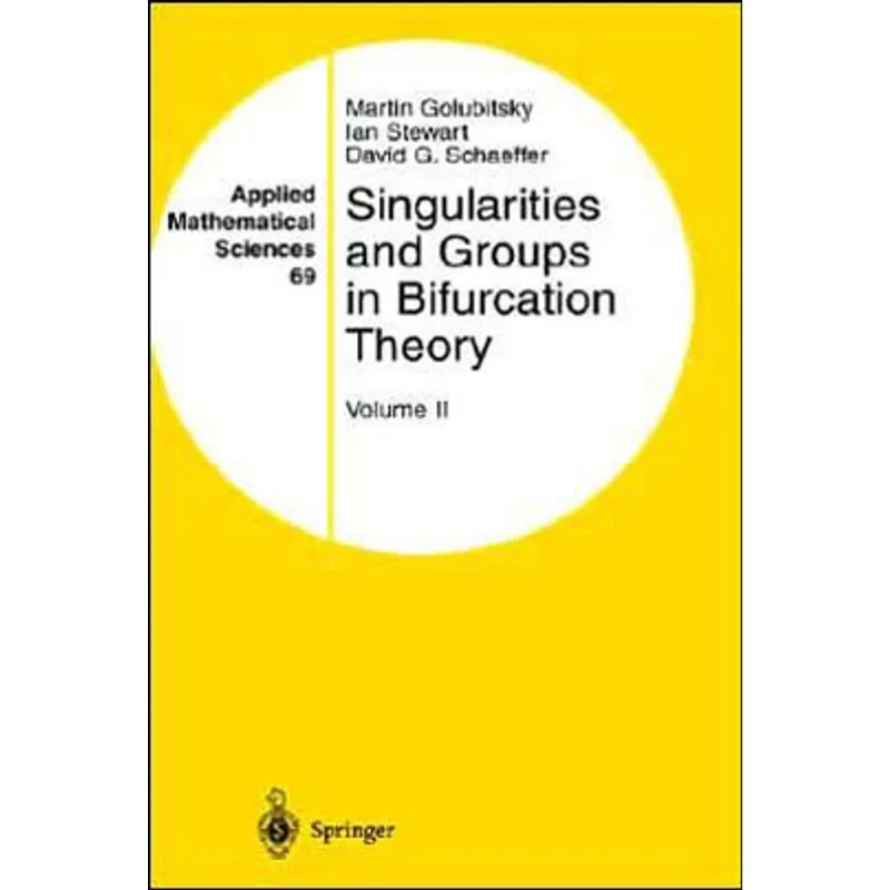 SINGULARITIES AND GROUPS IN BIFURCATION THEORY - VOL. 2