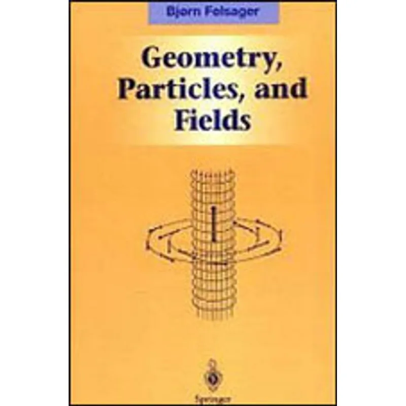 GEOMETRY PARTICLES AND FIELDS