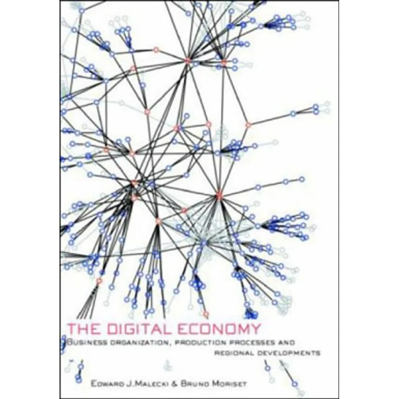 DIGITAL ECONOMY, THE: BUSINESS ORGANISATION, PRODUCTION PROCESSES AND REGIONAL DEVELOPMENTS
