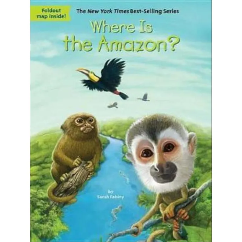 WHERE IS THE AMAZON?