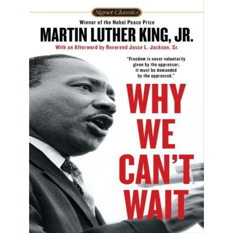 WHY WE CAN'T WAIT