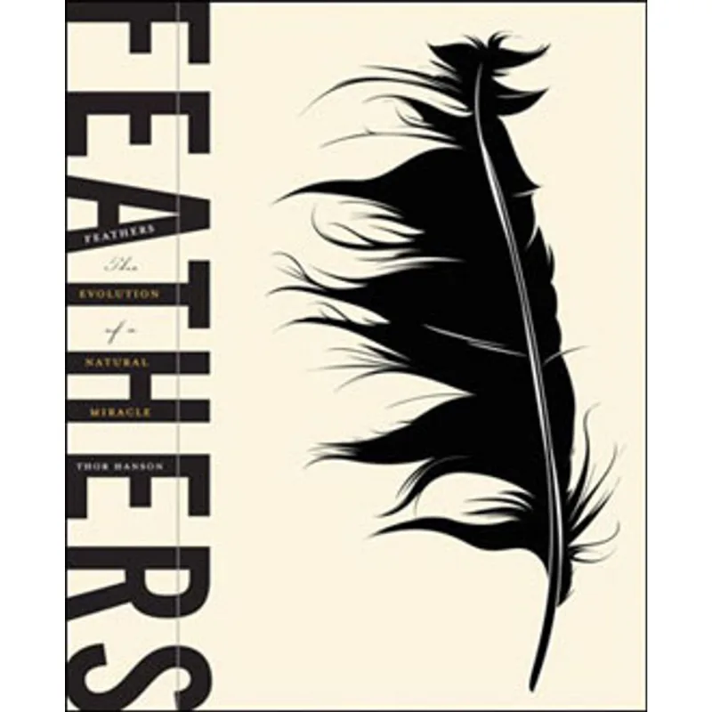 FEATHERS - THE EVOLUTION OF A NATURAL MIRACLE