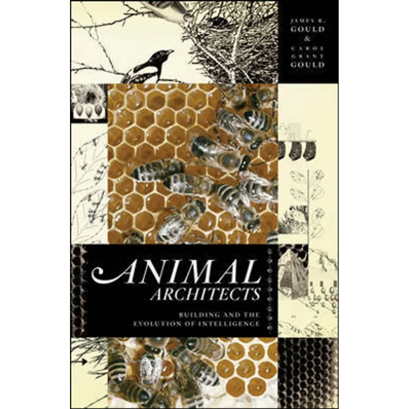 ANIMAL ARCHITECTS - BUILDING AND THE EVOLUTION OF INTELLIGENCE