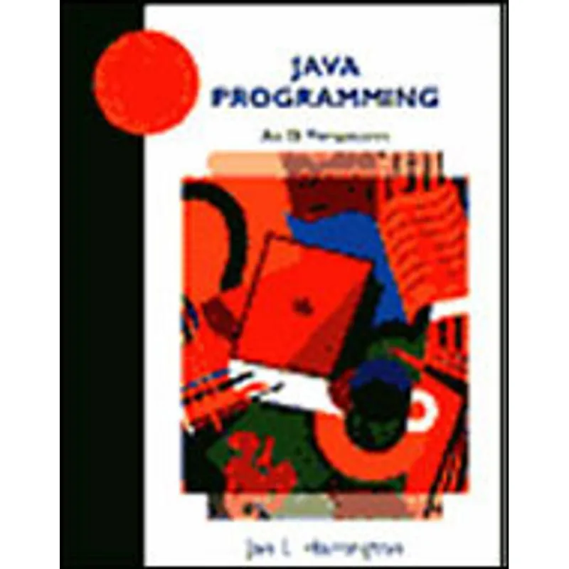 JAVA PROGRAMMING - AN IS PERSPECTIVE