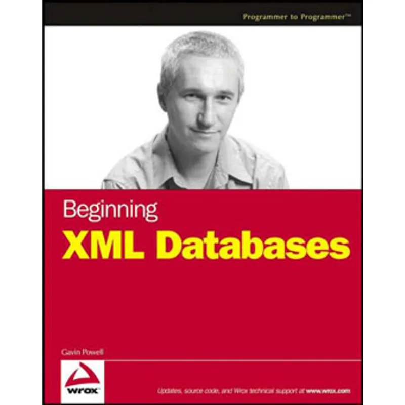 BEGINNING XML DATABASES