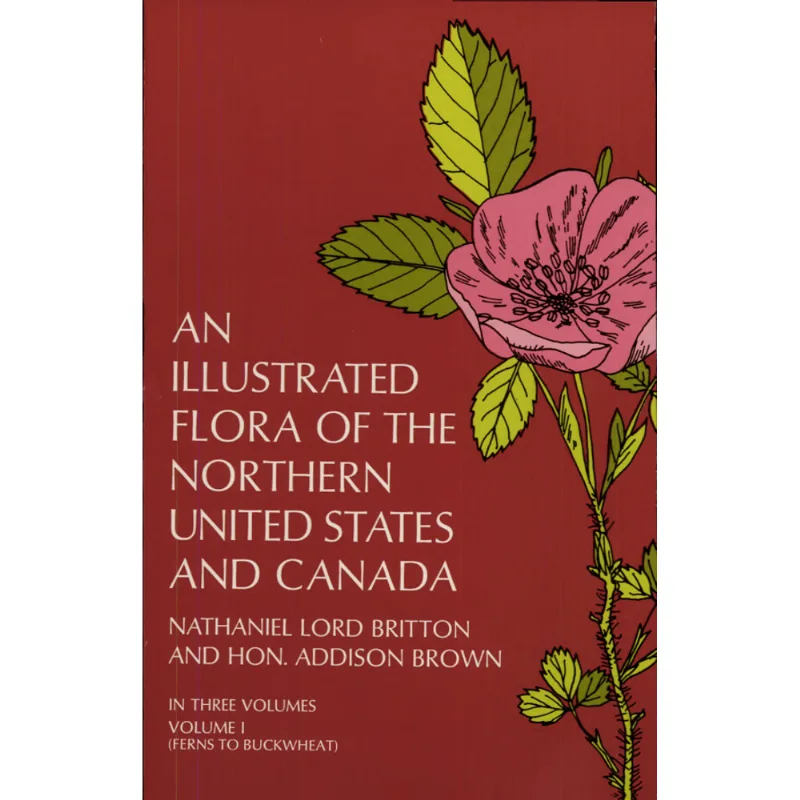 ILLUSTRATED FLORA OF THE NORTHERN UNITED STATES, AN