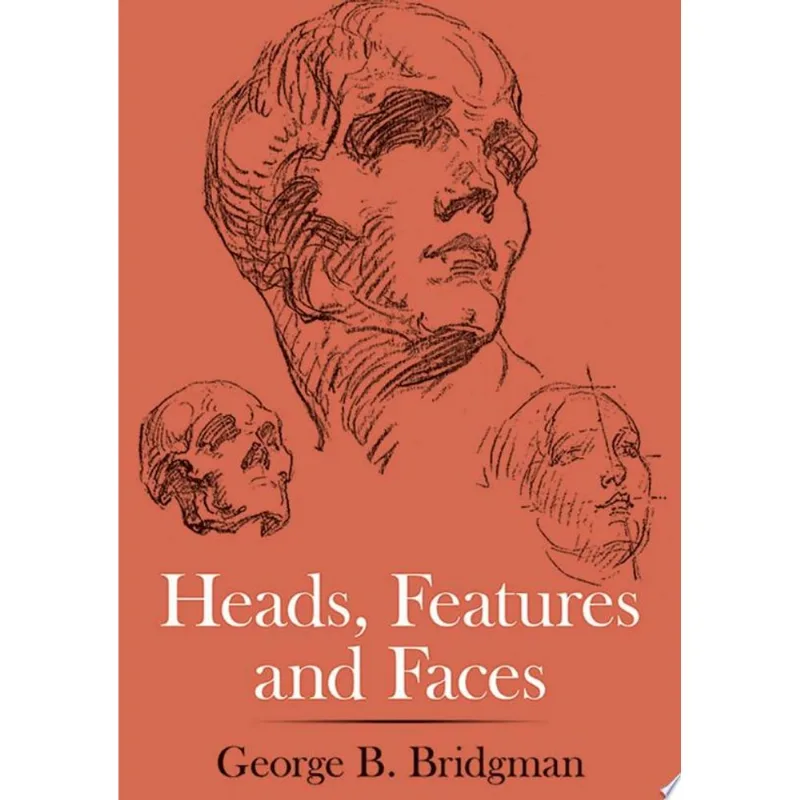 HEADS, FEATURES AND FACES