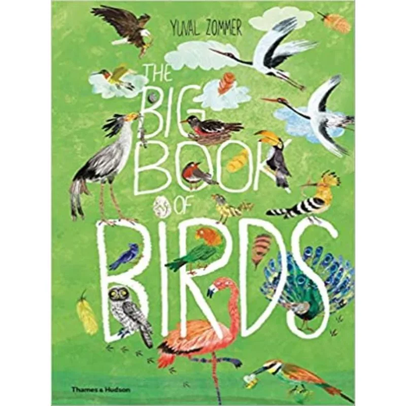 THE BIG BOOK OF BIRDS