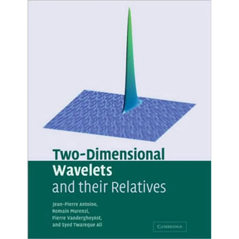 TWO-DIMENSIONAL WAVELETS AND THEIR RELATIVES