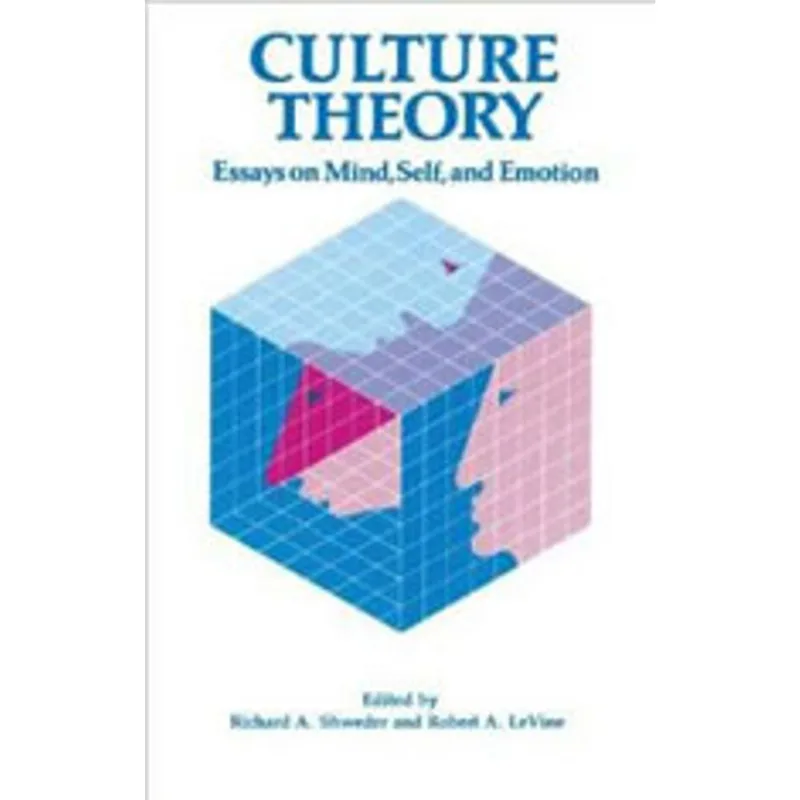 CULTURE THEORY