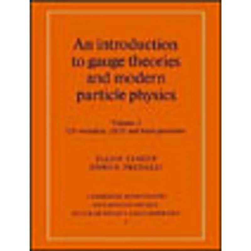 INTRODUCTION TO GAUGE THEORIES AND MODERN... VOL.2