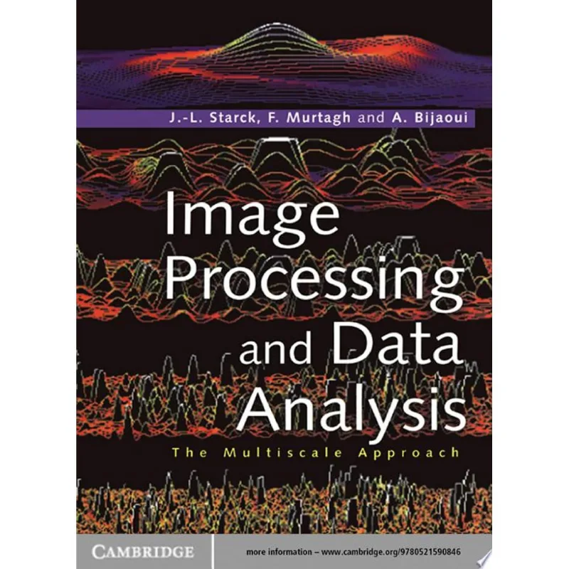 IMAGE PROCESSING AND DATA ANALYSIS: THE MULTICCALE APPROACH