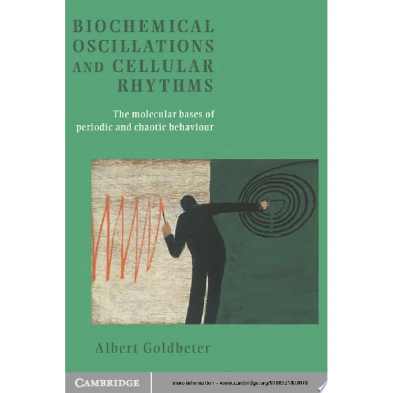 BIOCHEMICAL OSCILLATIONS CELLULAR RHYTHMS