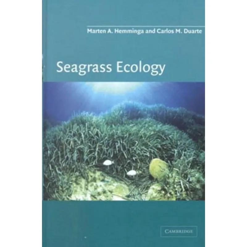 SEAGRASS ECOLOGY