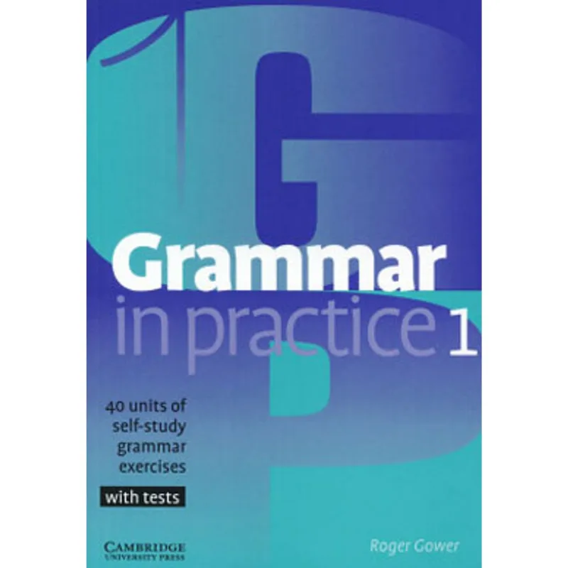 GRAMMAR IN PRACTICE 1
