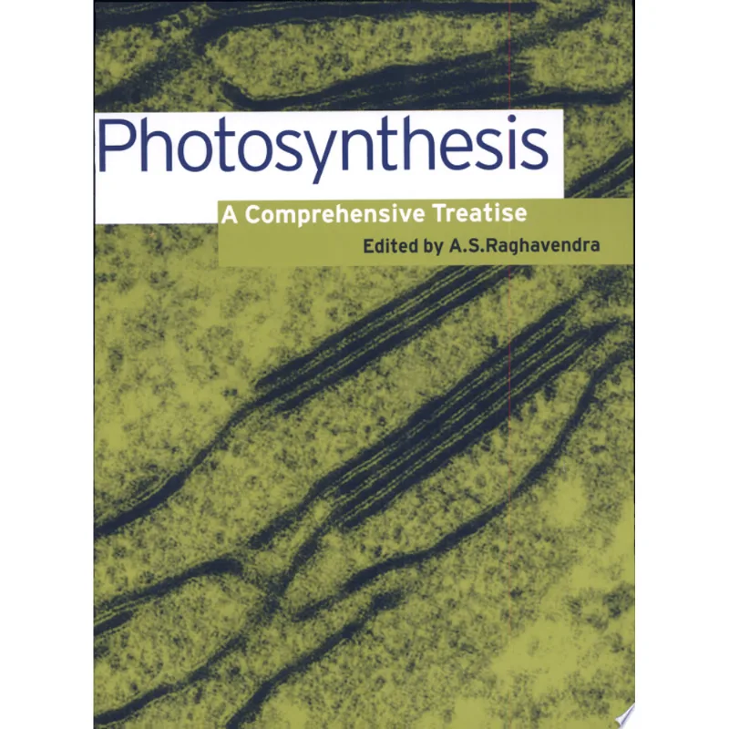 PHOTOSYNTHESIS