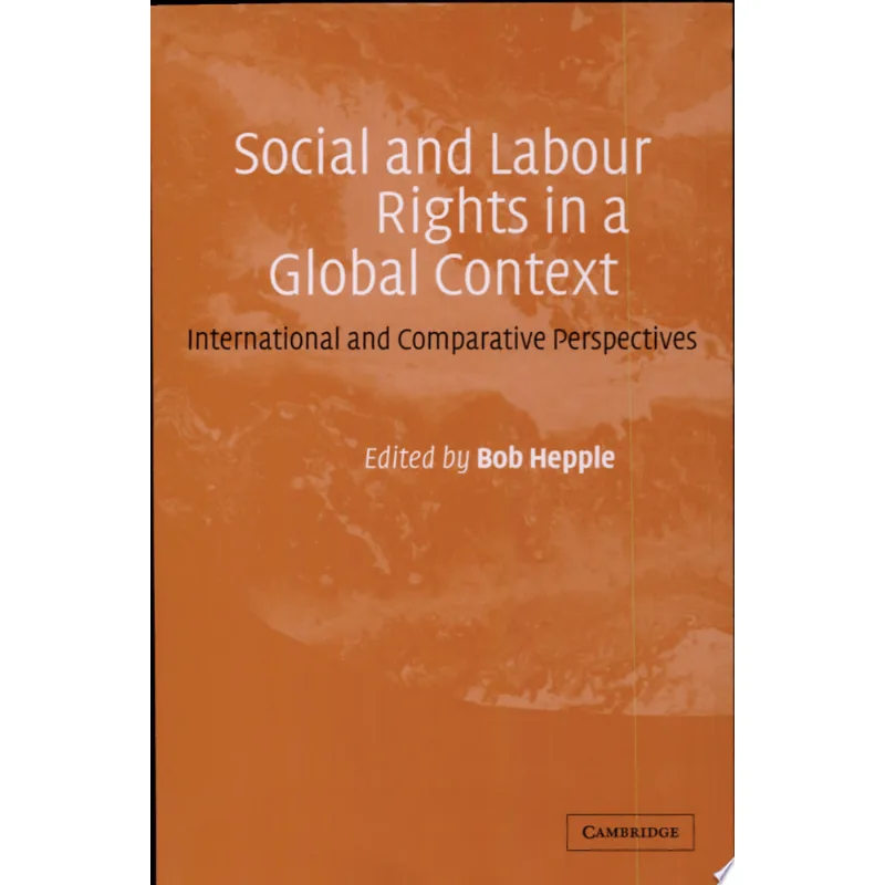 SOCIAL AND LABOUR RIGHTS IN A GLOBAL CONTEXT