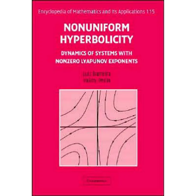 NONUNIFORM HYPERBOLICITY: DYNAMICS OF SYSTEMS WITH NONZERO LYAPUNOV EXPONENTS