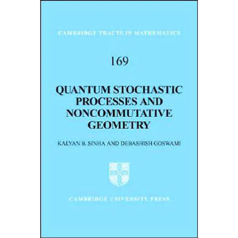 QUANTUM STOCHASTIC PROCESSES AND NONCOMMUTATIVE GEOMETRY