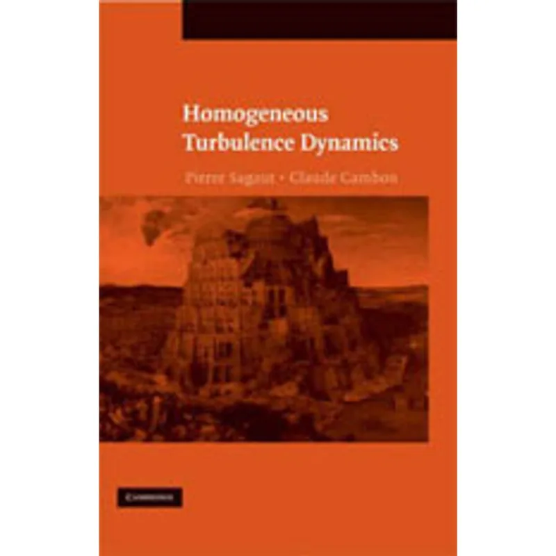 HOMOGENEOUS TURBULENCE DYNAMICS
