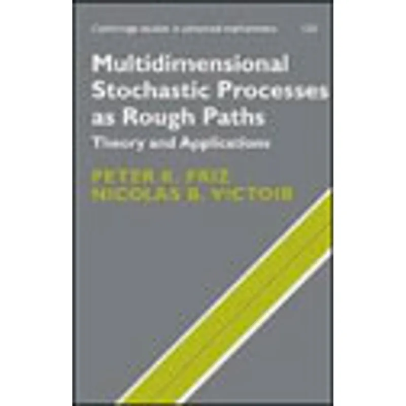MULTIDIMENSIONAL STOCHASTIC PROCESSES AS ROUGH PATHS - THEORY AND APPLICATIONS