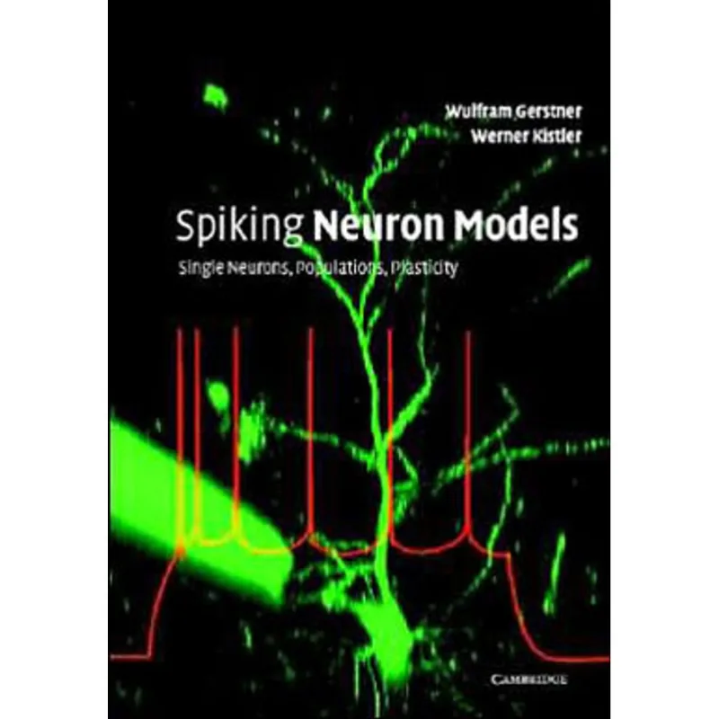 SPIKING NEURON MODELS
