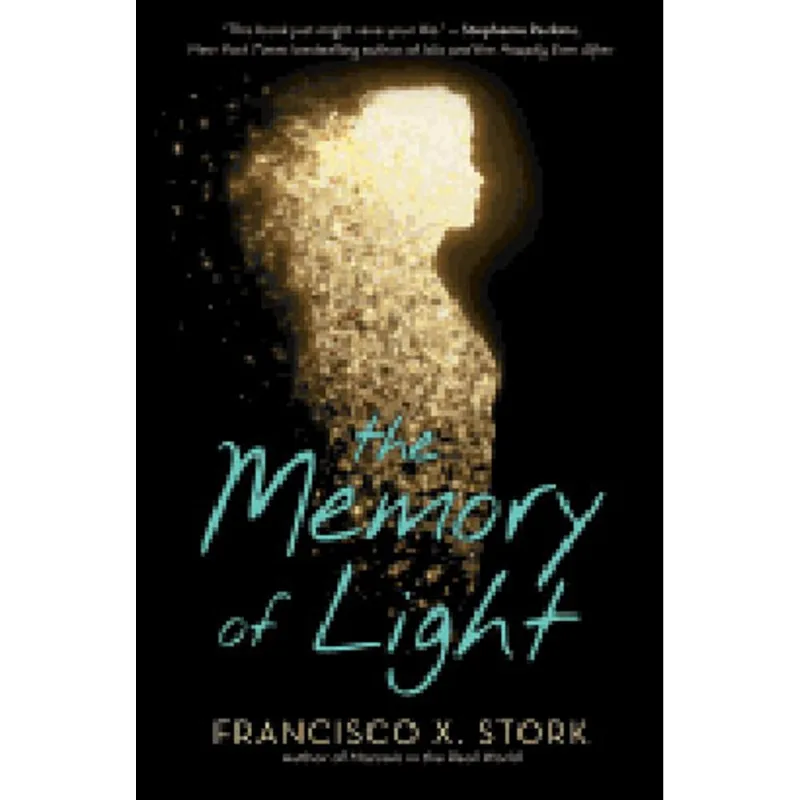 THE MEMORY OF LIGHT