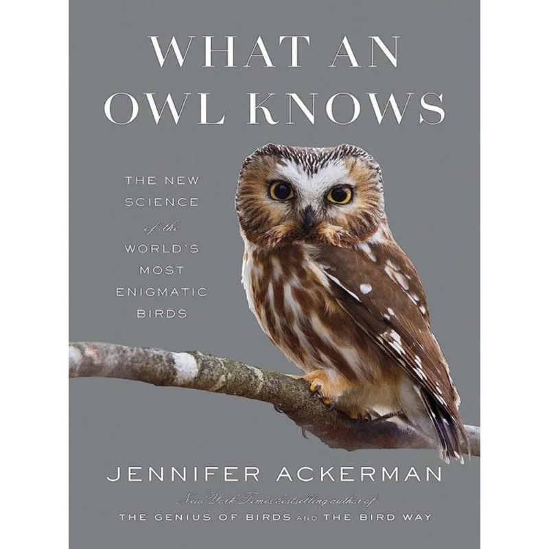 WHAT AN OWL KNOWS