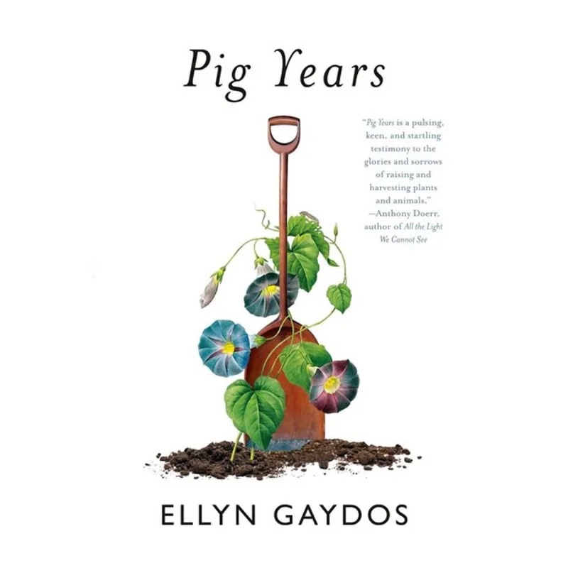 PIG YEARS