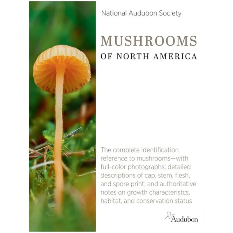 NATIONAL AUDUBON SOCIETY MUSHROOMS OF NORTH AMERICA