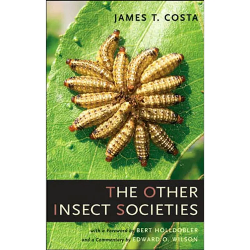 OTHER INSECT SOCIETIES, THE
