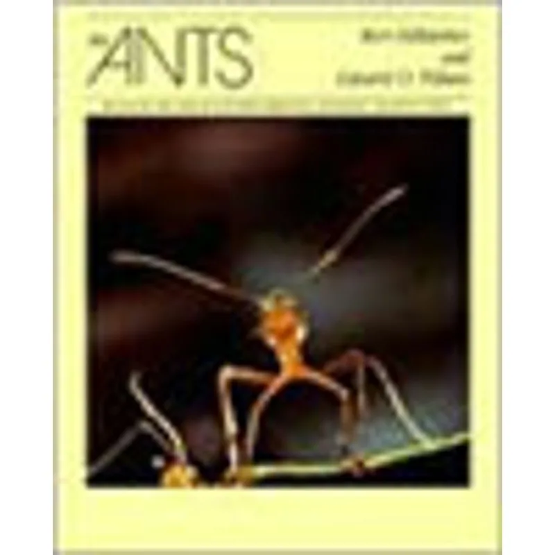 ANTS, THE