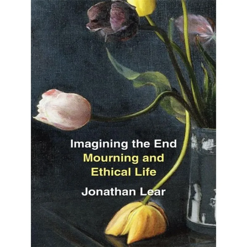 IMAGINING THE END