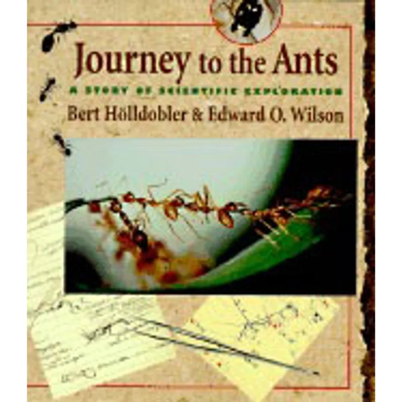 JOURNEY TO THE ANTS