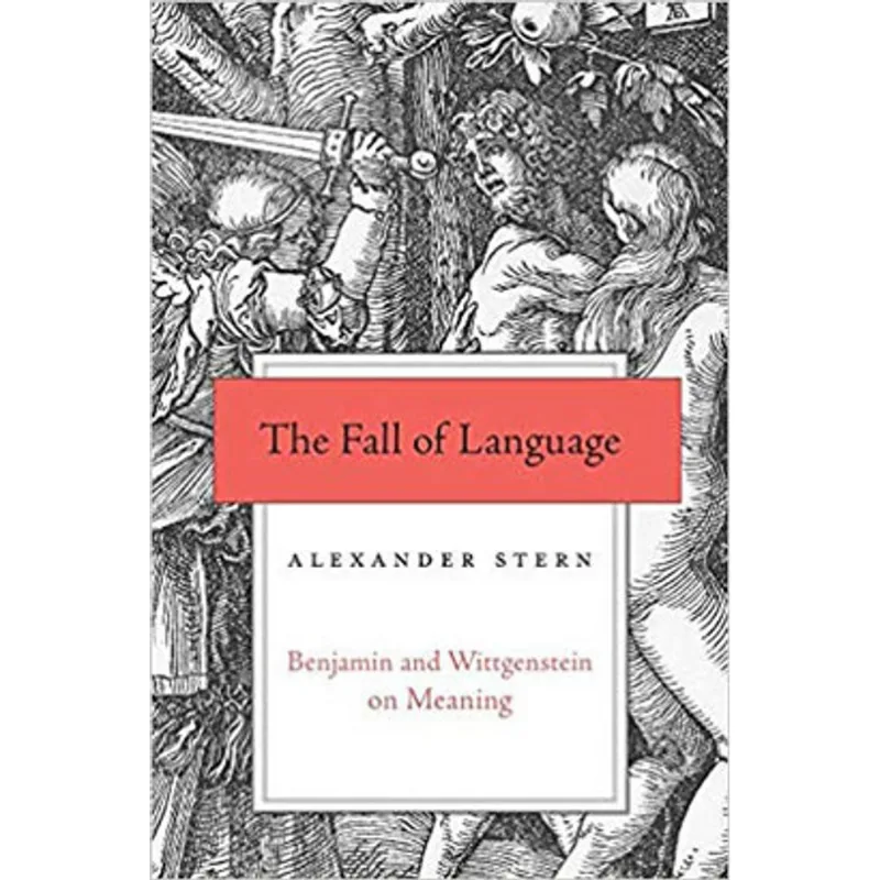 FALL OF LANGUAGE, THE - BENJAMIN AND WITTGENSTEIN ON MEANING