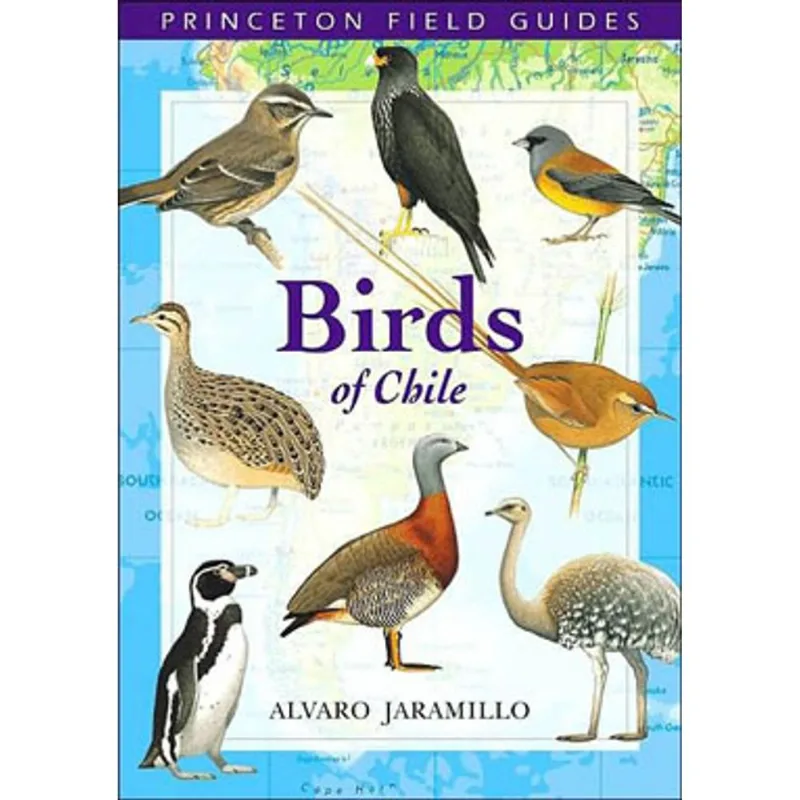 BIRDS OF CHILE