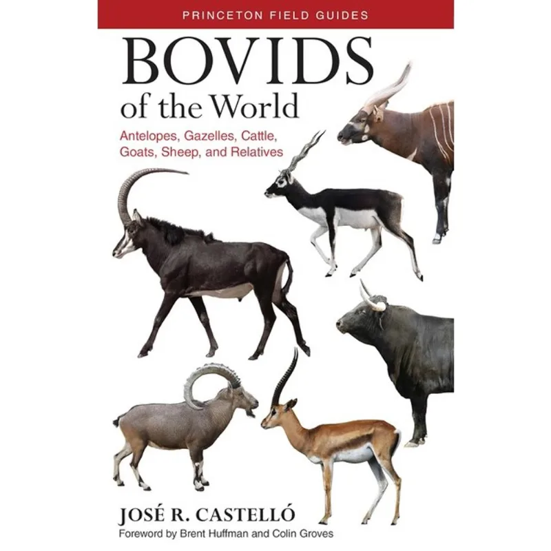 BOVIDS OF THE WORLD
