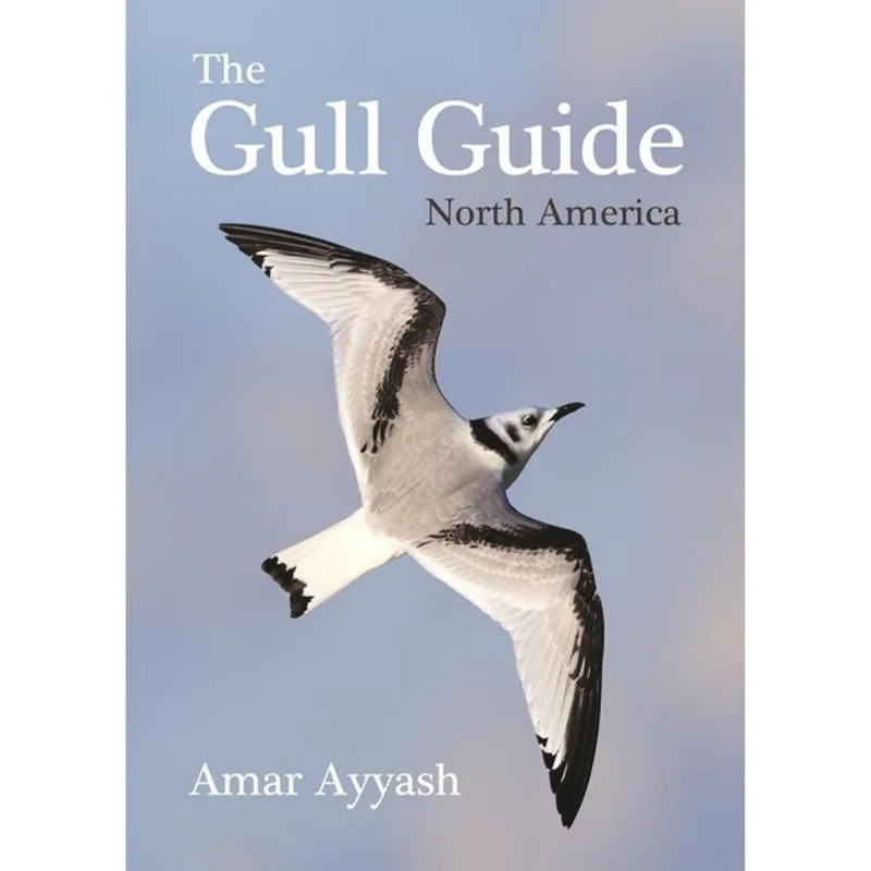 THE GULL GUIDE - NORTH AMERICA