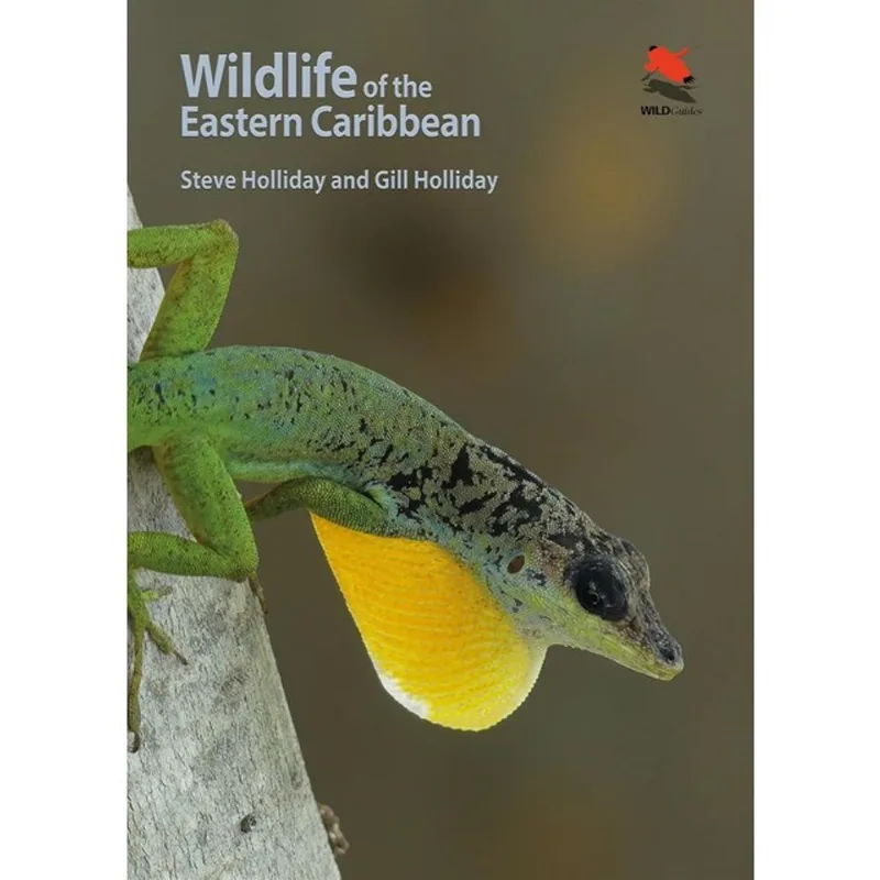 WILDLIFE OF THE EASTERN CARIBBEAN
