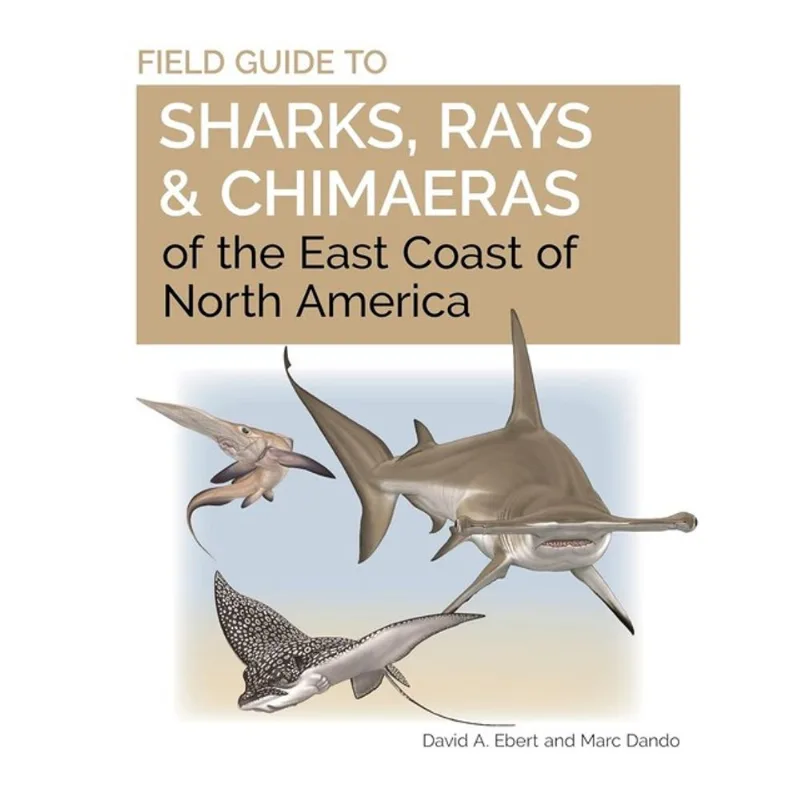 FIELD GUIDE TO SHARKS, RAYS AND CHIMAERAS OF THE EAST COAST OF NORTH AMERICA