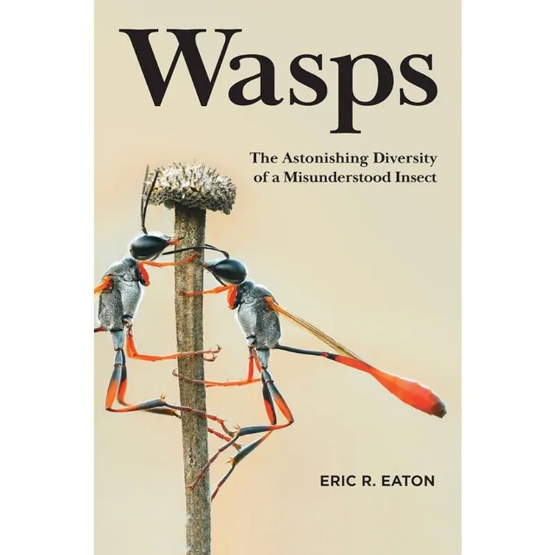 WASPS