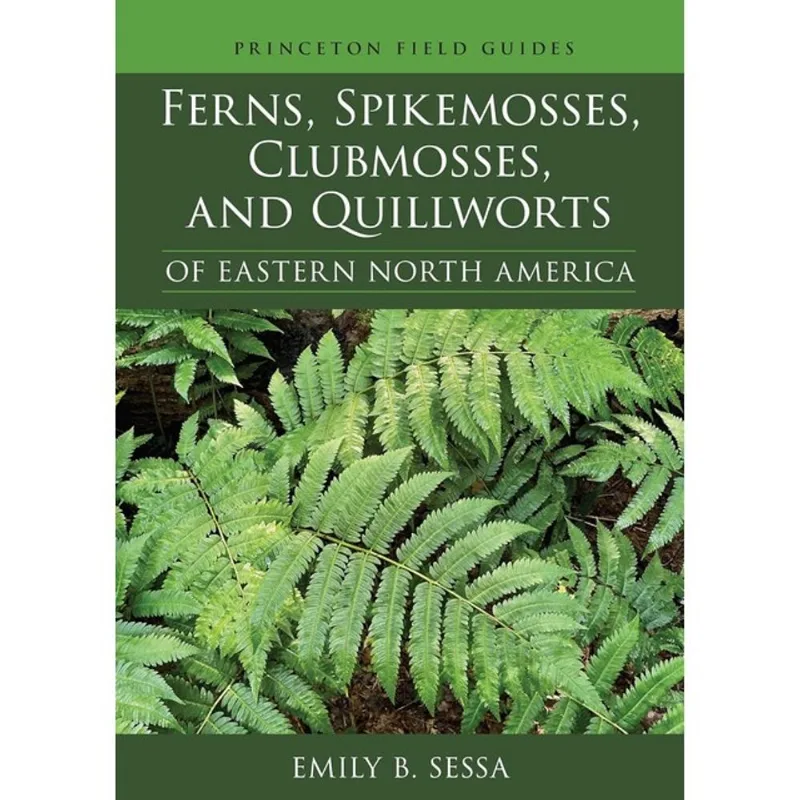 FERNS, SPIKEMOSSES, CLUBMOSSES, AND QUILLWORTS OF EASTERN NORTH AMERICA