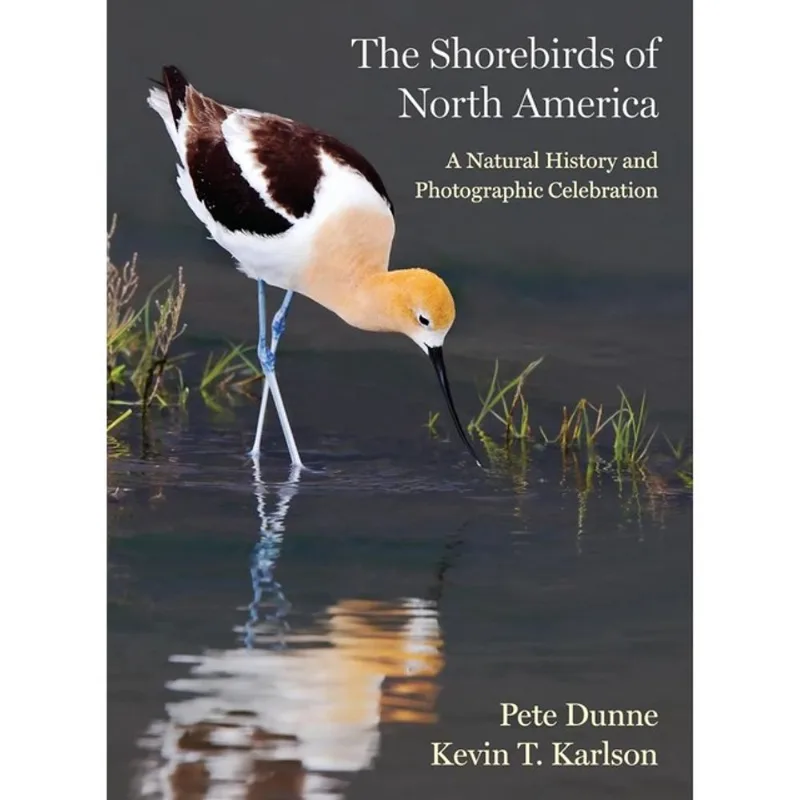 THE SHOREBIRDS OF NORTH AMERICA