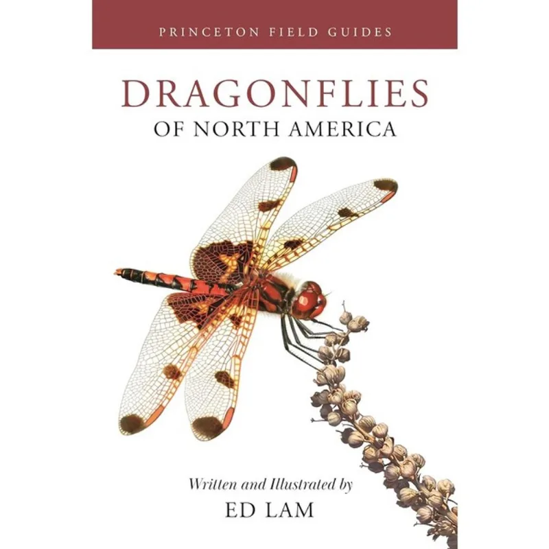 DRAGONFLIES OF NORTH AMERICA