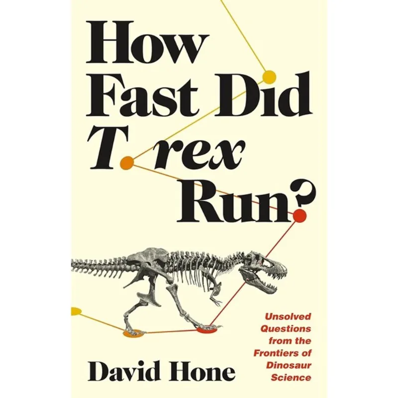 HOW FAST DID T. REX RUN?