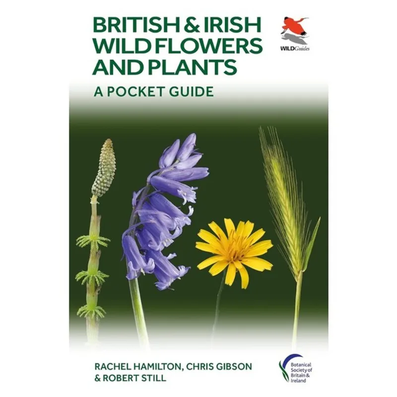 BRITISH AND IRISH WILD FLOWERS AND PLANTS