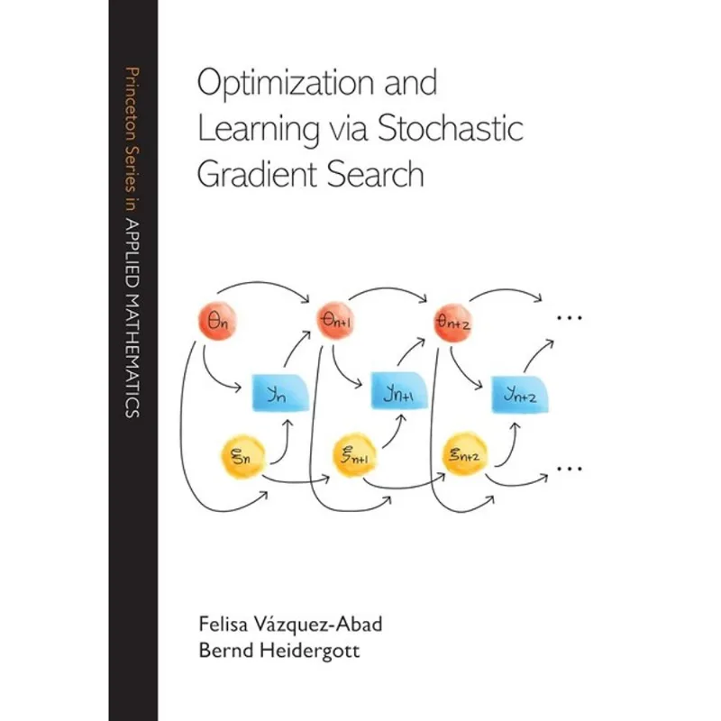 OPTIMIZATION AND LEARNING VIA STOCHASTIC GRADIENT SEARCH